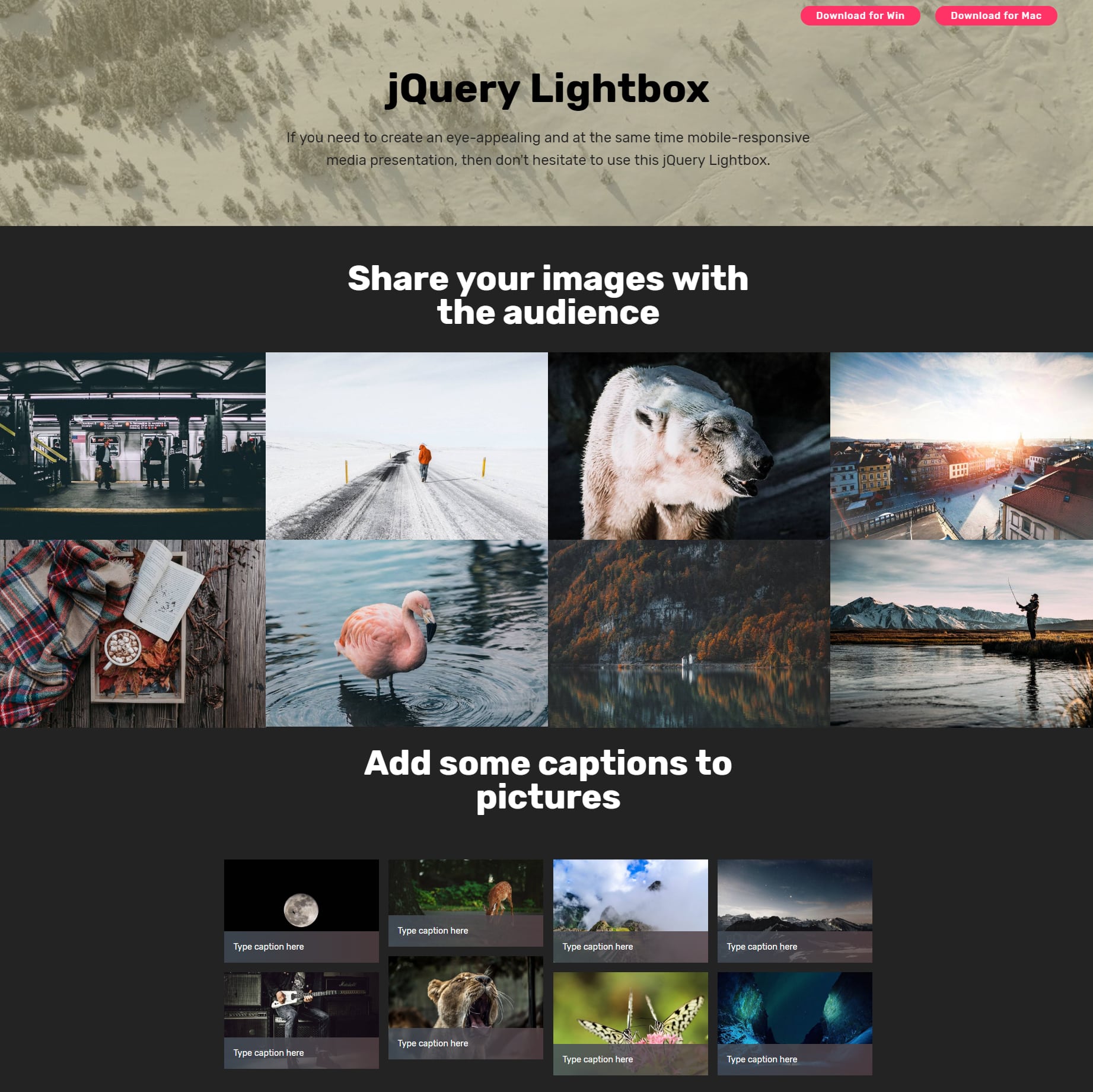JavaScript Bootstrap Picture Gallery