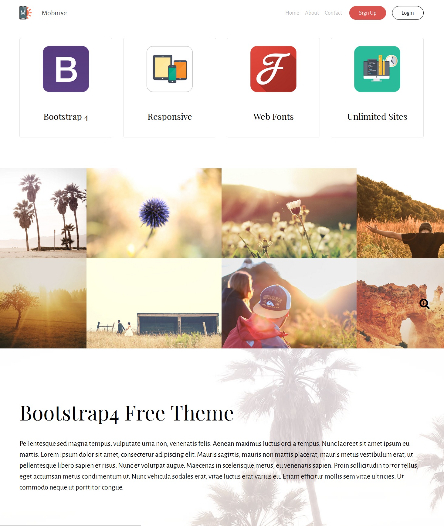 Mobile Bootstrap Simple Theme